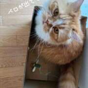 ヒメ日記 2025/07/03 17:04 投稿 水野 はづき マーベリック横浜