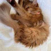 ヒメ日記 2025/07/21 05:14 投稿 水野 はづき マーベリック横浜