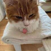 ヒメ日記 2025/07/27 11:10 投稿 水野 はづき マーベリック横浜