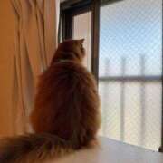 ヒメ日記 2025/07/30 10:15 投稿 水野 はづき マーベリック横浜