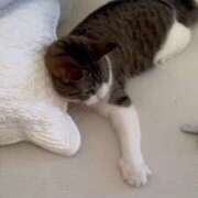 ヒメ日記 2025/07/31 16:54 投稿 水野 はづき マーベリック横浜