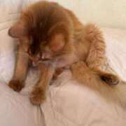 ヒメ日記 2025/08/12 10:14 投稿 水野 はづき マーベリック横浜