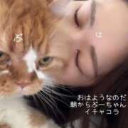 ヒメ日記 2025/08/16 09:44 投稿 水野 はづき マーベリック横浜