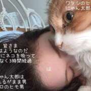 ヒメ日記 2025/08/31 12:46 投稿 水野 はづき マーベリック横浜