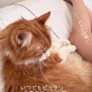 ヒメ日記 2025/09/03 17:54 投稿 水野 はづき マーベリック横浜