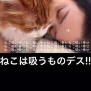 ヒメ日記 2025/09/07 12:04 投稿 水野 はづき マーベリック横浜