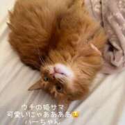 ヒメ日記 2025/09/07 16:44 投稿 水野 はづき マーベリック横浜