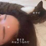 ヒメ日記 2025/09/12 09:54 投稿 水野 はづき マーベリック横浜