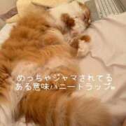 ヒメ日記 2025/09/19 01:54 投稿 水野 はづき マーベリック横浜