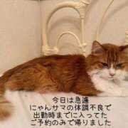 ヒメ日記 2025/09/20 21:44 投稿 水野 はづき マーベリック横浜