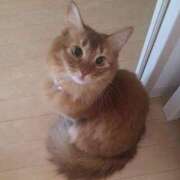 ヒメ日記 2025/09/26 02:04 投稿 水野 はづき マーベリック横浜