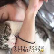 ヒメ日記 2025/09/27 09:24 投稿 水野 はづき マーベリック横浜