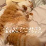 ヒメ日記 2025/10/06 15:24 投稿 水野 はづき マーベリック横浜