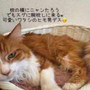 ヒメ日記 2025/10/12 12:24 投稿 水野 はづき マーベリック横浜