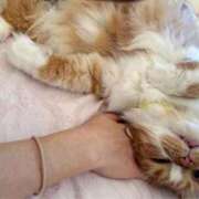 ヒメ日記 2025/10/17 11:44 投稿 水野 はづき マーベリック横浜