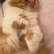 ヒメ日記 2025/10/26 00:44 投稿 水野 はづき マーベリック横浜