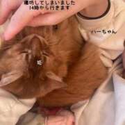 ヒメ日記 2025/11/05 11:54 投稿 水野 はづき マーベリック横浜