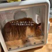 ヒメ日記 2025/11/10 13:14 投稿 水野 はづき マーベリック横浜