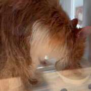 ヒメ日記 2025/11/10 15:44 投稿 水野 はづき マーベリック横浜