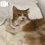 ヒメ日記 2025/11/24 23:34 投稿 水野 はづき マーベリック横浜