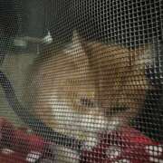 ヒメ日記 2025/11/25 19:14 投稿 水野 はづき マーベリック横浜