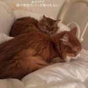 ヒメ日記 2025/11/26 17:04 投稿 水野 はづき マーベリック横浜