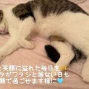 ヒメ日記 2025/11/27 11:54 投稿 水野 はづき マーベリック横浜