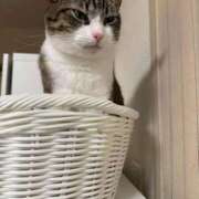 ヒメ日記 2025/11/28 11:47 投稿 水野 はづき マーベリック横浜