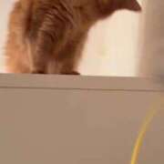 ヒメ日記 2025/11/30 03:34 投稿 水野 はづき マーベリック横浜