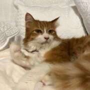 ヒメ日記 2025/12/04 14:54 投稿 水野 はづき マーベリック横浜