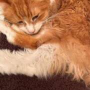 ヒメ日記 2025/12/13 15:54 投稿 水野 はづき マーベリック横浜