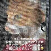 ヒメ日記 2025/12/17 10:34 投稿 水野 はづき マーベリック横浜