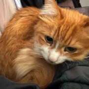 ヒメ日記 2025/12/19 09:24 投稿 水野 はづき マーベリック横浜