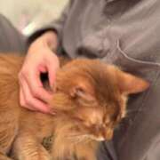 ヒメ日記 2025/12/30 01:54 投稿 水野 はづき マーベリック横浜