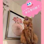 ヒメ日記 2026/01/03 23:24 投稿 水野 はづき マーベリック横浜