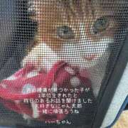 ヒメ日記 2026/01/17 11:34 投稿 水野 はづき マーベリック横浜