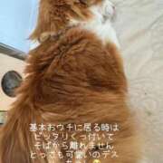 ヒメ日記 2026/01/19 12:06 投稿 水野 はづき マーベリック横浜