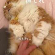 ヒメ日記 2026/01/22 02:14 投稿 水野 はづき マーベリック横浜