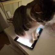 ヒメ日記 2026/01/22 16:14 投稿 水野 はづき マーベリック横浜