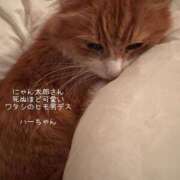 ヒメ日記 2026/02/05 13:05 投稿 水野 はづき マーベリック横浜