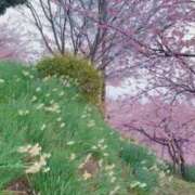 ヒメ日記 2026/02/10 19:14 投稿 水野 はづき マーベリック横浜