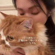 ヒメ日記 2026/02/18 02:34 投稿 水野 はづき マーベリック横浜