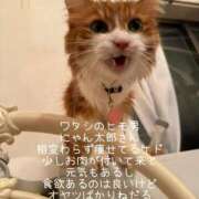 ヒメ日記 2026/02/21 11:54 投稿 水野 はづき マーベリック横浜