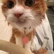 ヒメ日記 2026/02/22 12:04 投稿 水野 はづき マーベリック横浜