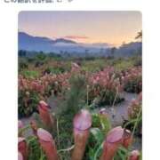 ヒメ日記 2026/02/22 17:14 投稿 水野 はづき マーベリック横浜