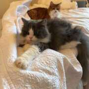 ヒメ日記 2026/02/28 12:04 投稿 水野 はづき マーベリック横浜