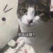 ヒメ日記 2026/02/28 18:04 投稿 水野 はづき マーベリック横浜