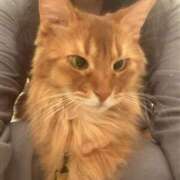 ヒメ日記 2026/03/02 12:14 投稿 水野 はづき マーベリック横浜