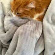 ヒメ日記 2026/03/10 12:32 投稿 水野 はづき マーベリック横浜