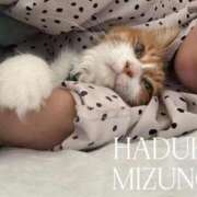 ヒメ日記 2026/03/11 11:54 投稿 水野 はづき マーベリック横浜